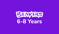Beavers Button Mobile